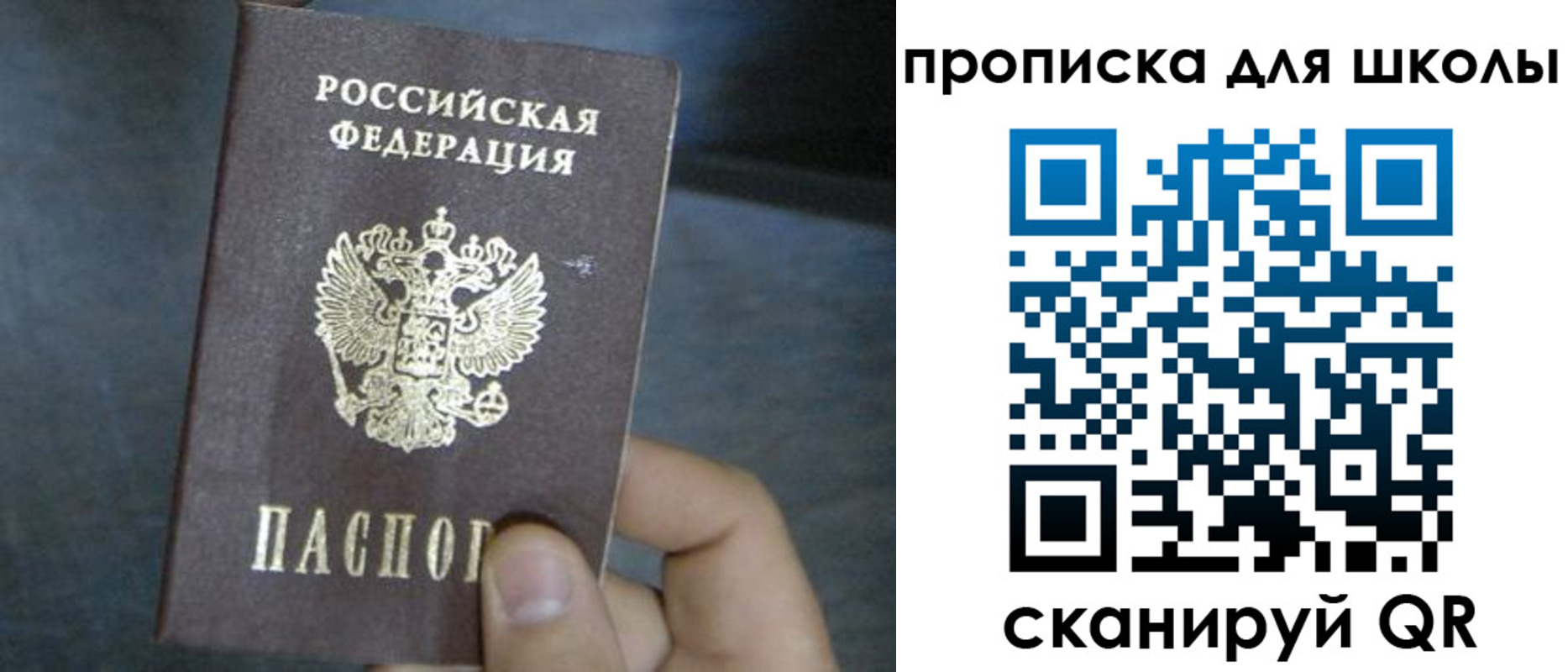 прописка поиск в Осинниках